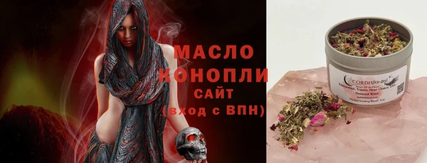 молекула духа Краснослободск